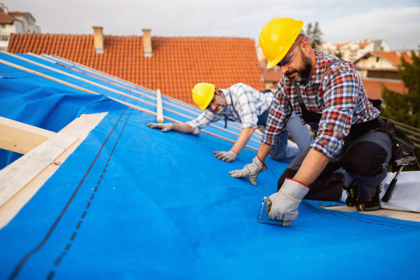 Best Storm Damage Roof Repair  in Blooming Prairie, MN