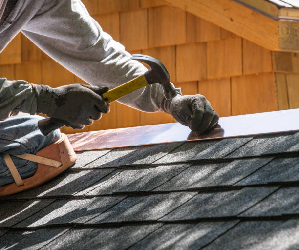 Best Local Roofing Companies  in Blooming Prairie, MN
